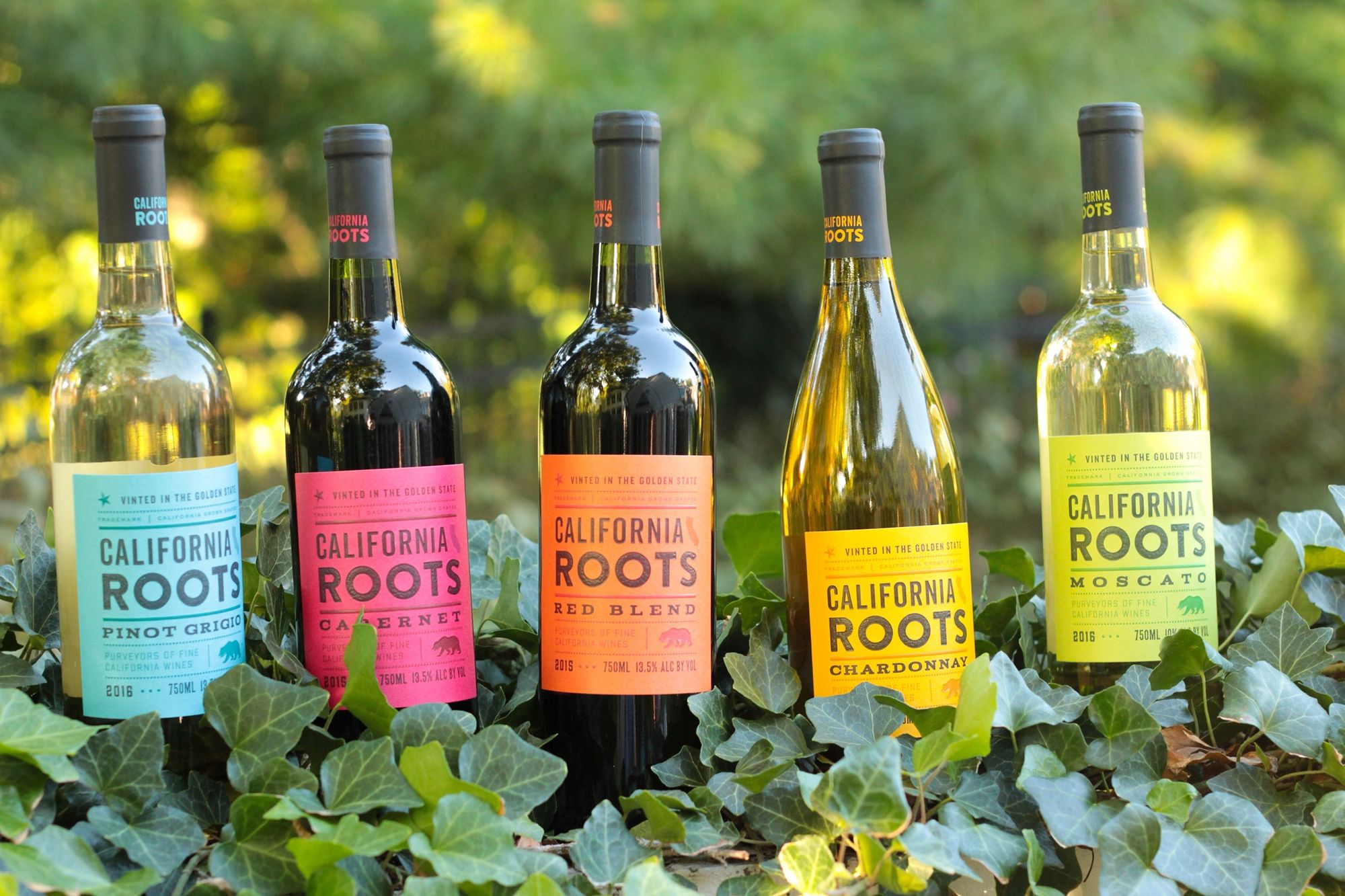 California Roots Wine Review: Exploring the Best Wines from the Golden State